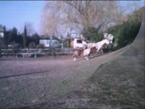 Séance de saut en liberté