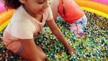 Crazy!! Messy Orbeez Pool Challenge In Our House! Daddy Freaks Out! Shopkins Toys