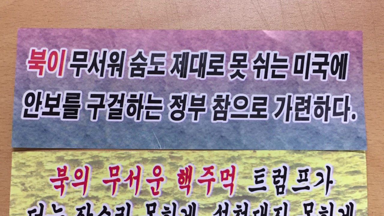 北 대남 전단, 청와대 경내에서도 발견 / YTN