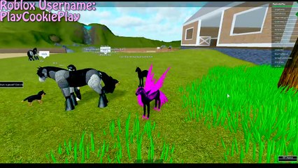 Horse Valley & Foals + Pegasus In New World - Lets Play Online Roblox Horse  Games – Видео Dailymotion