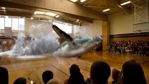 incredible 7D hologram - Funny Vine - Whale 7D image - Vines 2016