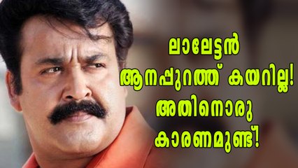 ആനയുമില്ല, പാപ്പാനുമില്ല! എല്ലാം വ്യാജം | filmibeat Malayalam