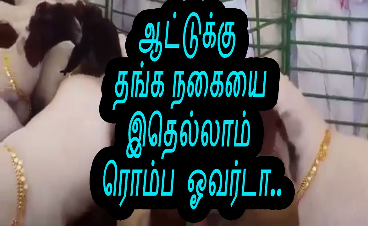 ஆட்டுக்கு தங்க நகையை  இதெல்லாம்  ரொம்ப ஓவர்டா | mutton  | mutton biriyani | how to cook mutton