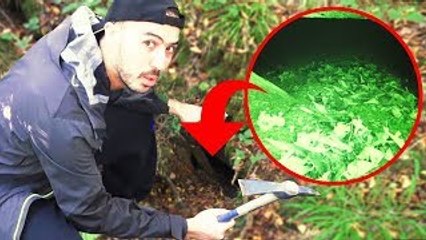 LE BLED'ART-ON A TROUVÉ UN PASSAGE SECRET EN PLEINE FORÊT !