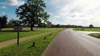 Richmond Park Bike ride with Deer กรุงลอนดอน London UK 2017