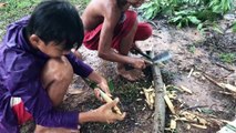 Spear Hunting - Amazing Boys Makes Bamboo Spear for Catching Frog While Raining - Catch n Cook