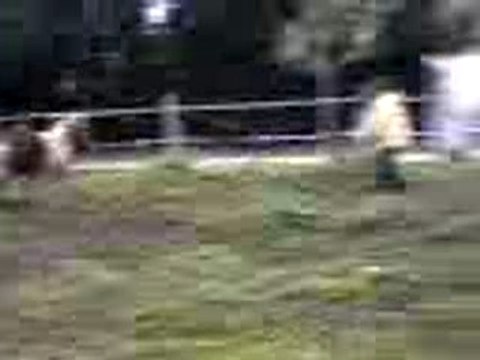 Cara & Nana incontrolables !