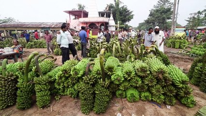 Daranggiri: Asia's biggest banana market