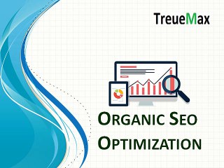 Organic Seo Optimization