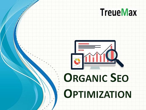 Organic Seo Optimization
