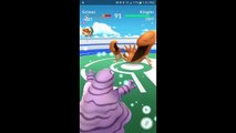 Pokémon GO Gym Battles Two Level 3 Gyms Grimer Muk Exeggutor Charizard & more