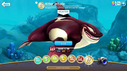 Hungry Shark World - New Playable !! Killer Whale