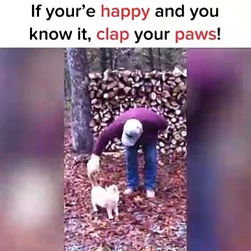 Er fängt an zu singen „wenn du glücklich bist, dann klatsche in deine Pfoten ... , aber schau mal, wie die Katze reagier