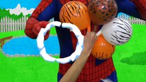 Spiderman Balloon Finger Family Nursery Rhymes | SuperHeroes finger family rhymes collection