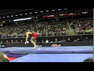 Andreas Bretschneider (GER) - Vault - 2016 AT&T American Cup