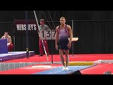 Drew Moling - Vault - 2016 P&G Championships - Sr. Men Day 1