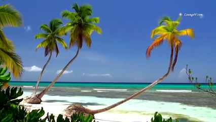 REBI & TABI - Sa mergi pe calea-ngusta