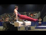 Robert Neff - Pommel Horse - 2017 Winter Cup Prelims