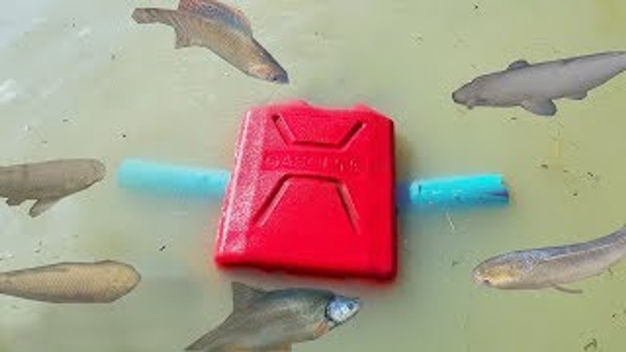 Amazing Smart Little Girl Make Fish Trap Using Gasoline Tank and PVC Pipe and Catch a Lot