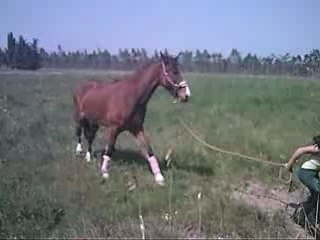 Ballade Melba et Non-Stop