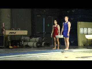 Steven Legendre - Vault - 2012 Winter Cup Prelims