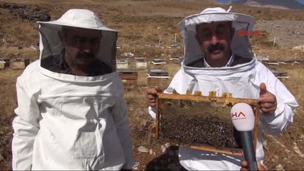 Tunceli'nin Ovacık İlçesinde Komünist Partili Belediye'nin Organik Ürünleri Türkiye Pazarını...