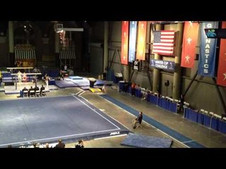 QUICK VID: David Sender - 2012 Winter Cup Prelims - Vault