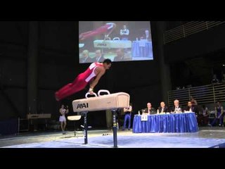 Troy Nitzky - Pommel Horse - 2012 Winter Cup Prelims