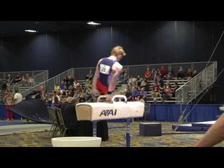 Joshua Williams - Pommel Horse - 2017 Winter Cup Prelims