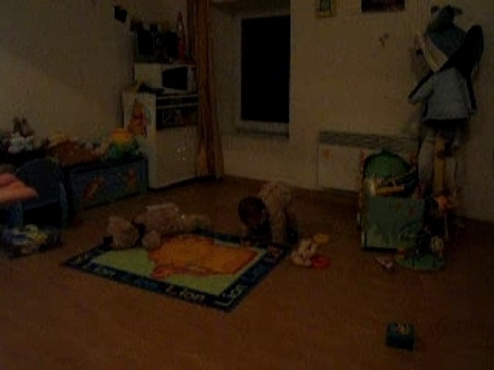 11 novembre 2007