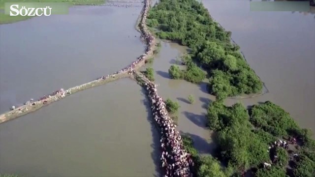 Arakanlı Müslümanlar'ın yaşadığı dram