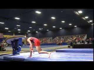 Vitaliy Guimaraes - Vault - 2017 Winter Cup Prelims