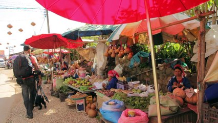 Living in Thailand - Road Trip to Maesalong (VLOG EP3)