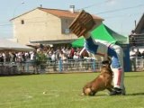 finale 2001. 2003. 2004 de Niepce des loups mutins