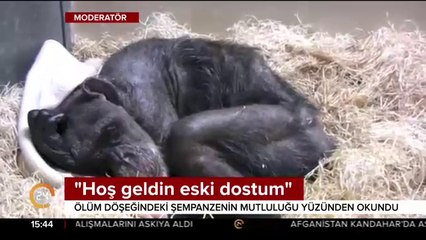 "Hoş geldin eski dostum"
