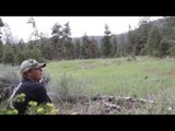 Man Experiences Mountain Lion Roars While Hunting