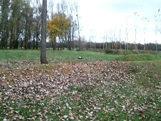 jump kyosho st us sport 1