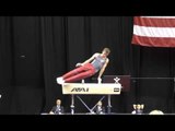 Robert Neff - Pommel Horse - 2015 P&G Championships - Sr. Men Day 1
