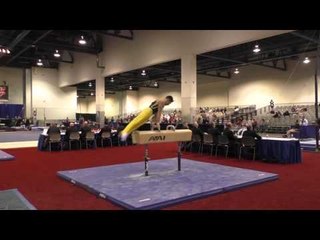 Dmitri Belanovski - Pommel Horse - 2016 Winter Cup Prelims