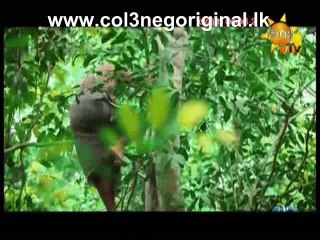 Gamunu Maharaja 2 (114) -19-10-2017