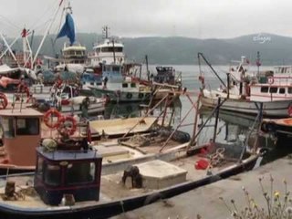 Onlar balığı yemek değil, dağıtmak için tutuyor