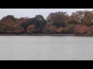 Washington'da sonbahar