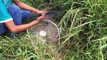 Creative Deep Hole Electric Fan Guard Rabbit Trap - Amazing Quick Rabbit Trap in Cambodai
