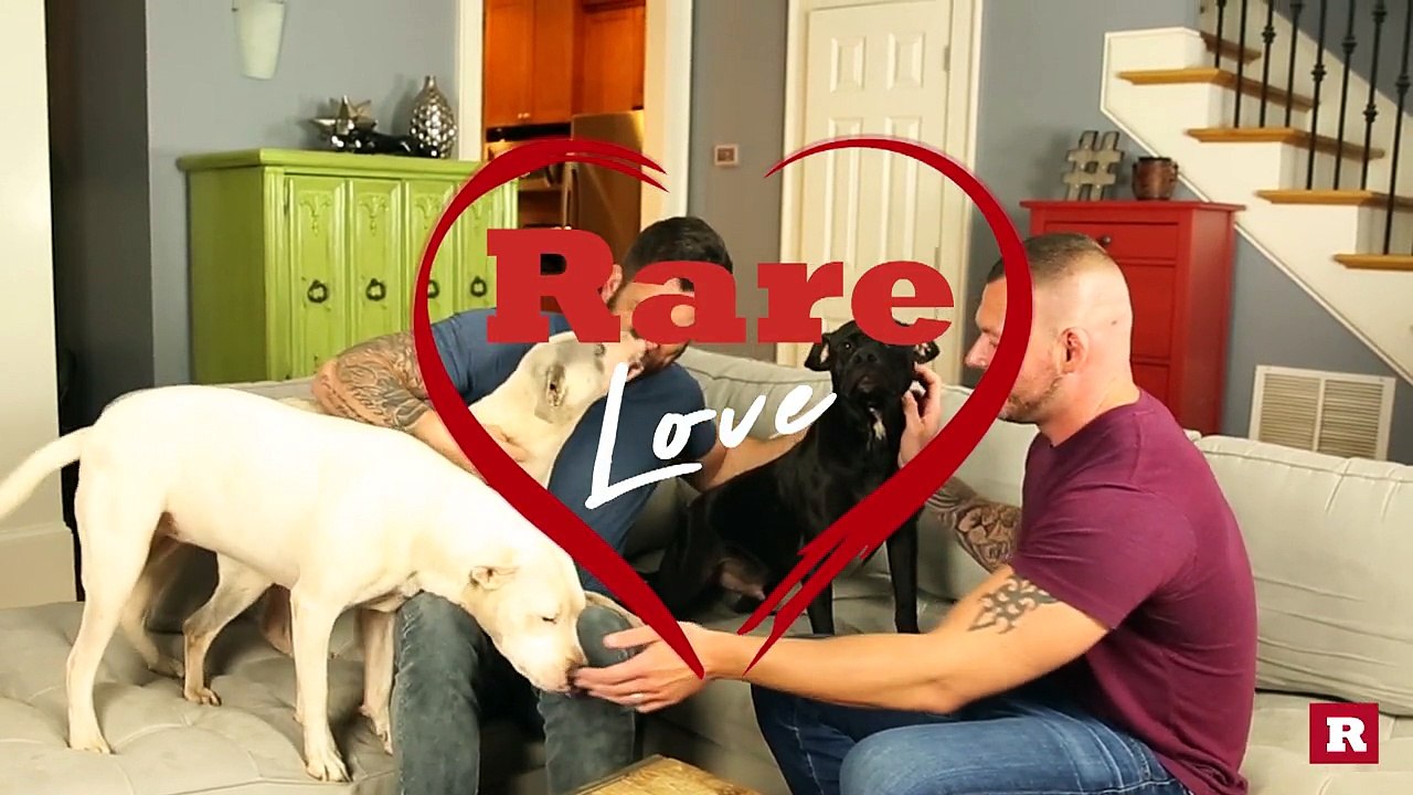 3 Pit Bulls, 2 Proposals, 1 Home | Rare Life