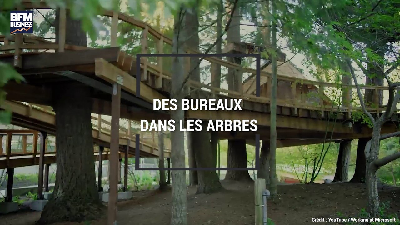 Microsoft a construit des bureaux dans les arbres