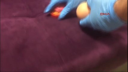 Antalya Eroini Oyuncak Bebeğe ve Şeker Kutusuna Saklamış