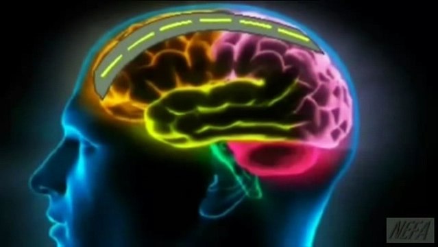 Miguel Ángel Cornejo COMO TENER UN BUEN DÍA Superación Personal