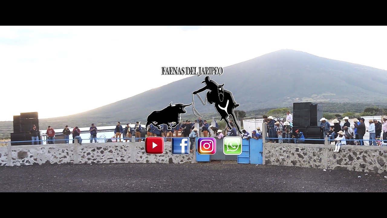 DE ESTO SE TRATA EL JARIPEO DE LAZO SI SEÑOR