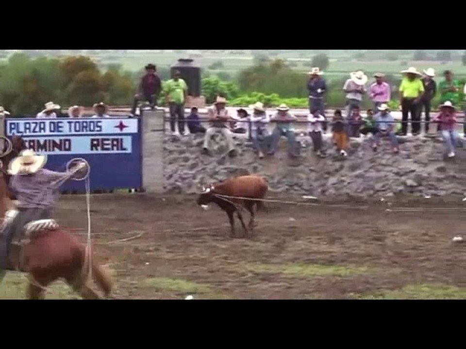 EL LANZALLAMAS DE FAENAS BRAVAS 201