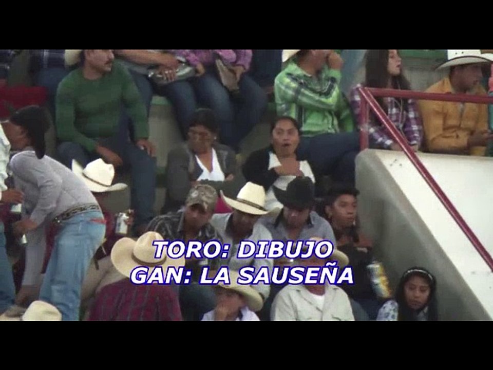 TORO IMPONENTE Y DE GRAN TAMAÑO